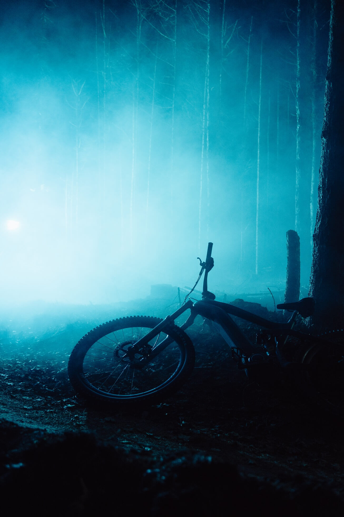 Mountain bike laying in a dark, slightly foggy forest with blue light in the background