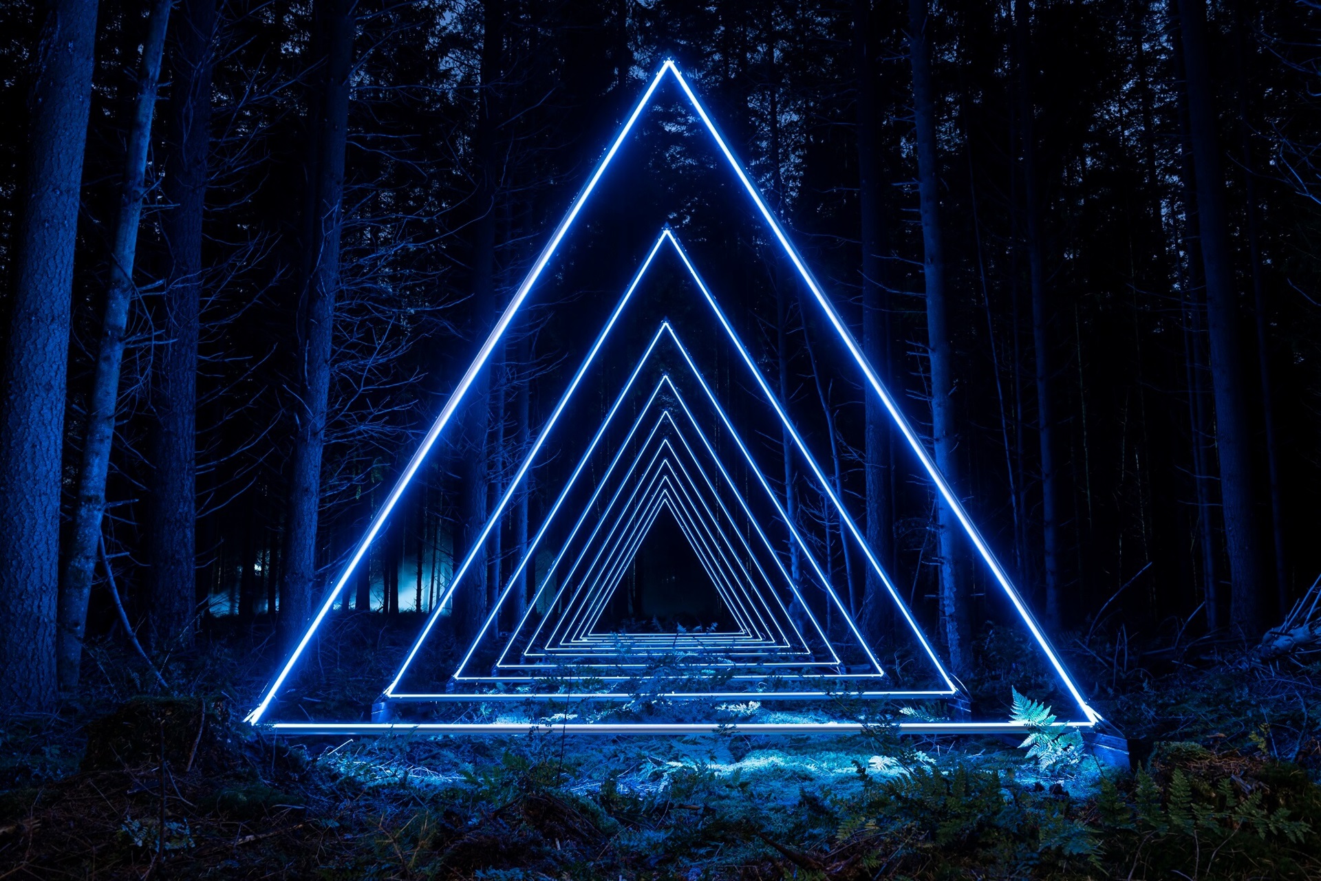 Blaue, dreieckige Leuchtröhren in einem dunklen Wald