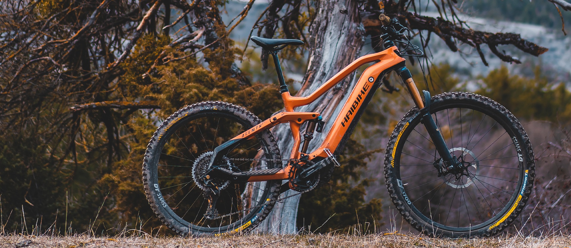 Haibike AllMtn CF 6 eMTB standing in a forest