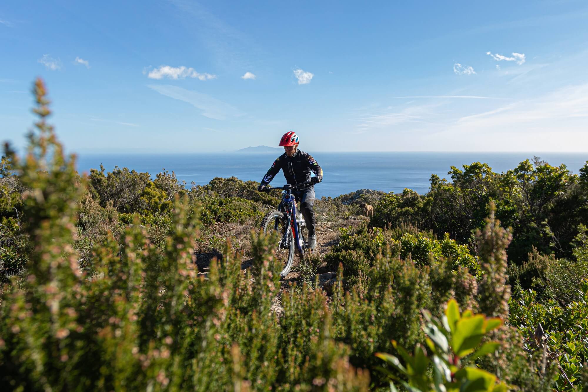 Photoshoot de Haibike Corsica, Xavier Marovelli sur un trail