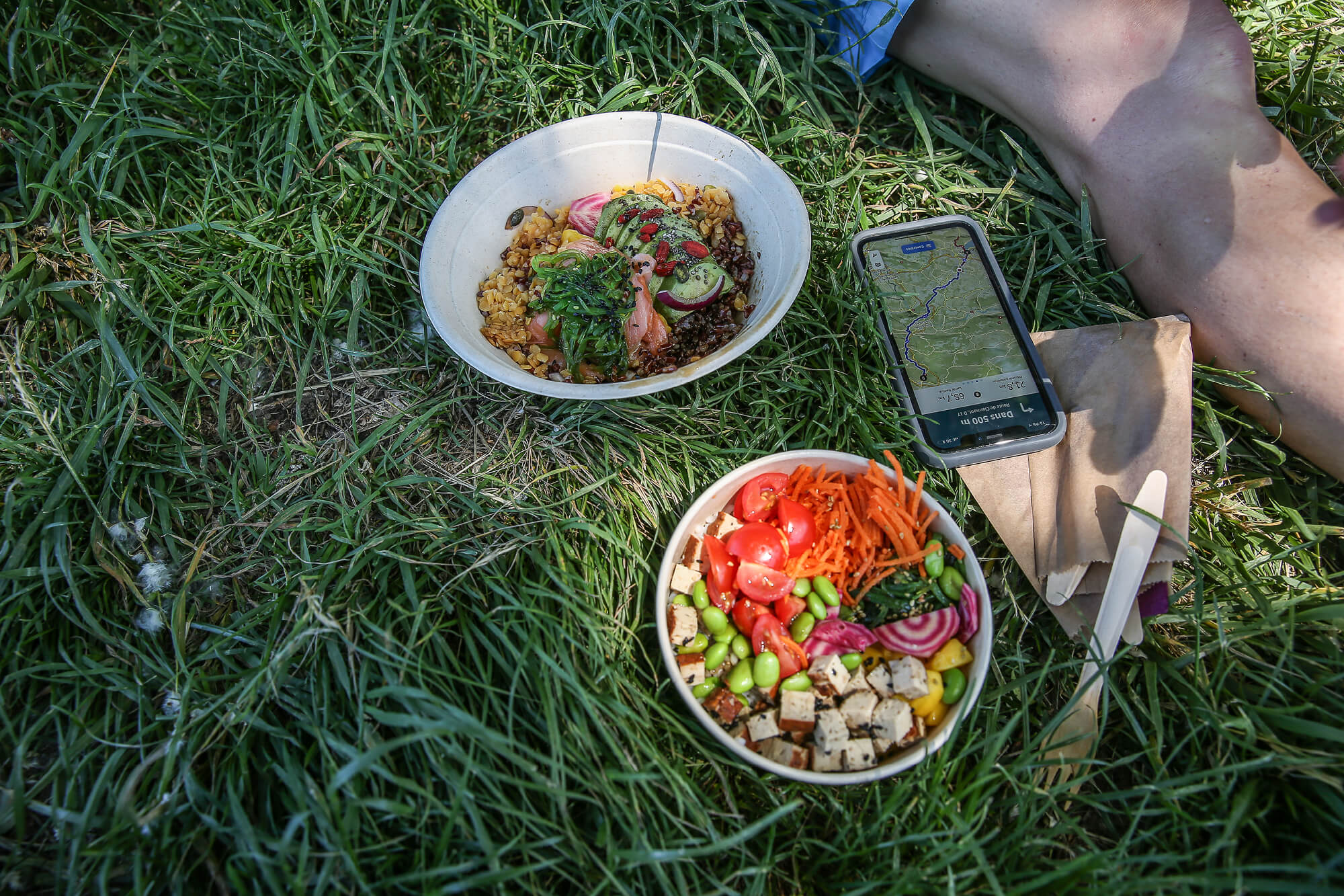 Photo de deux bols à déjeuner dans l'herbe avec un smartphone posé à côté