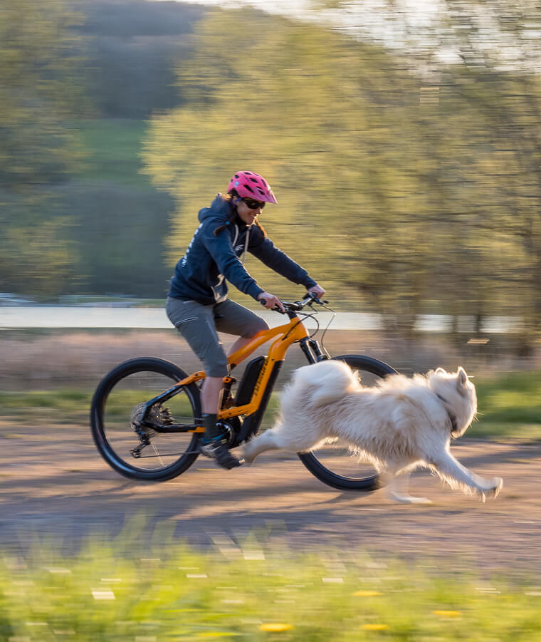 Haibike Hero Caroline Delattre sur son vélo Haibike AllMtn 4 avec son chien qui court à côté d'elle